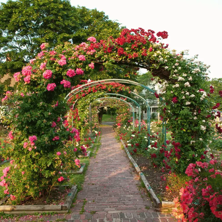 Garden & Green Zones